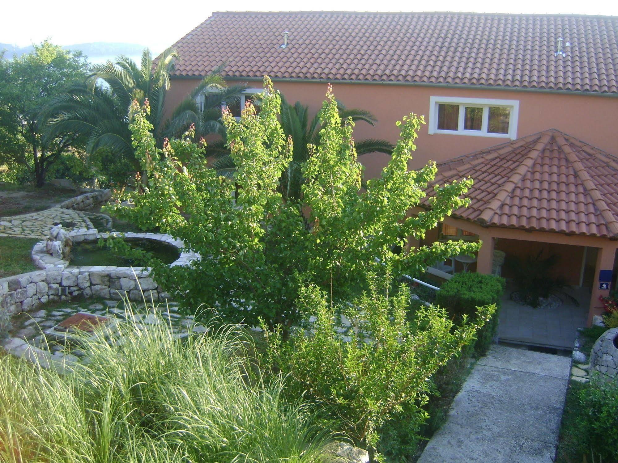 Apartmani Ana Mlini Extérieur photo