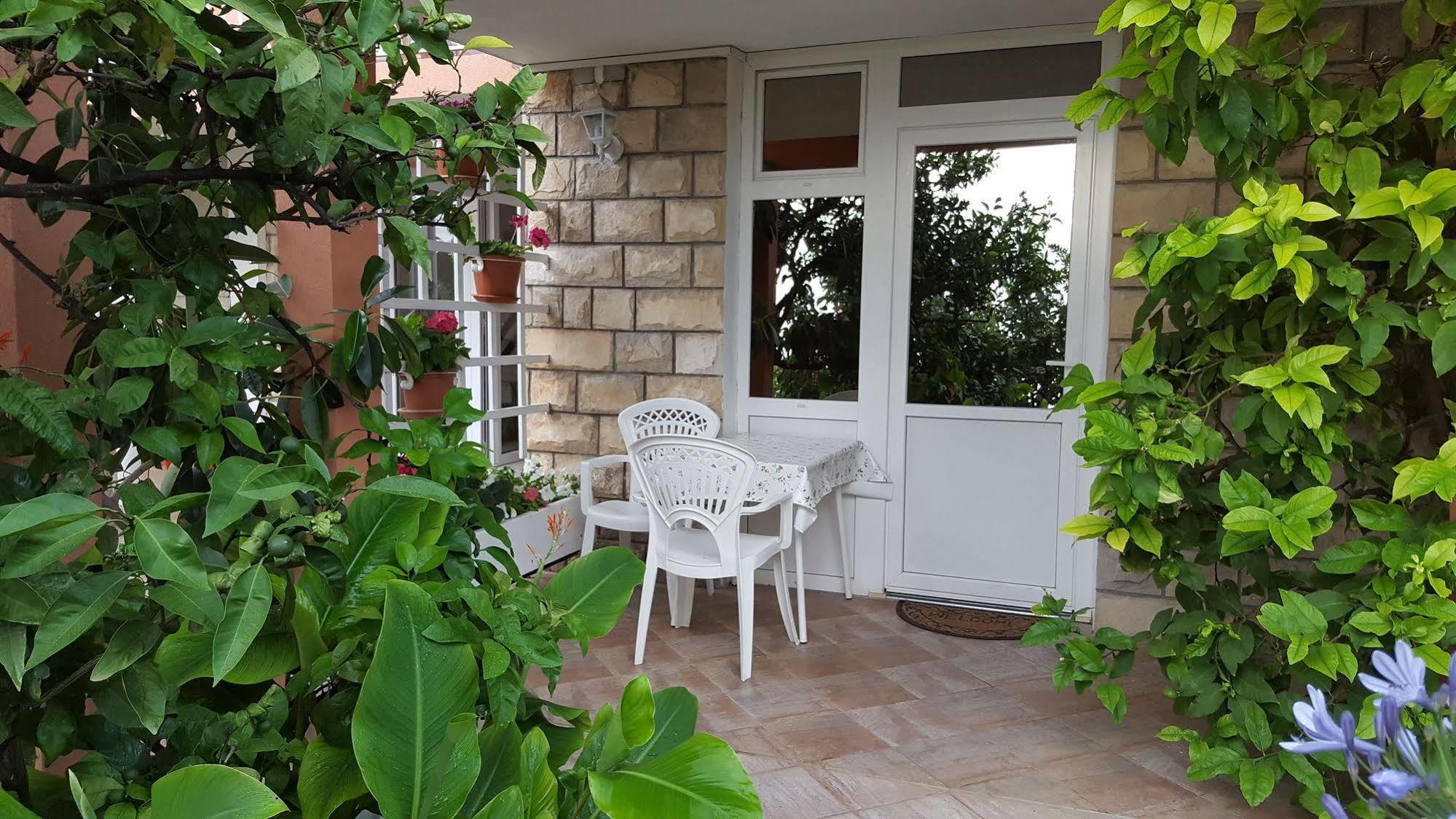 Apartmani Ana Mlini Extérieur photo