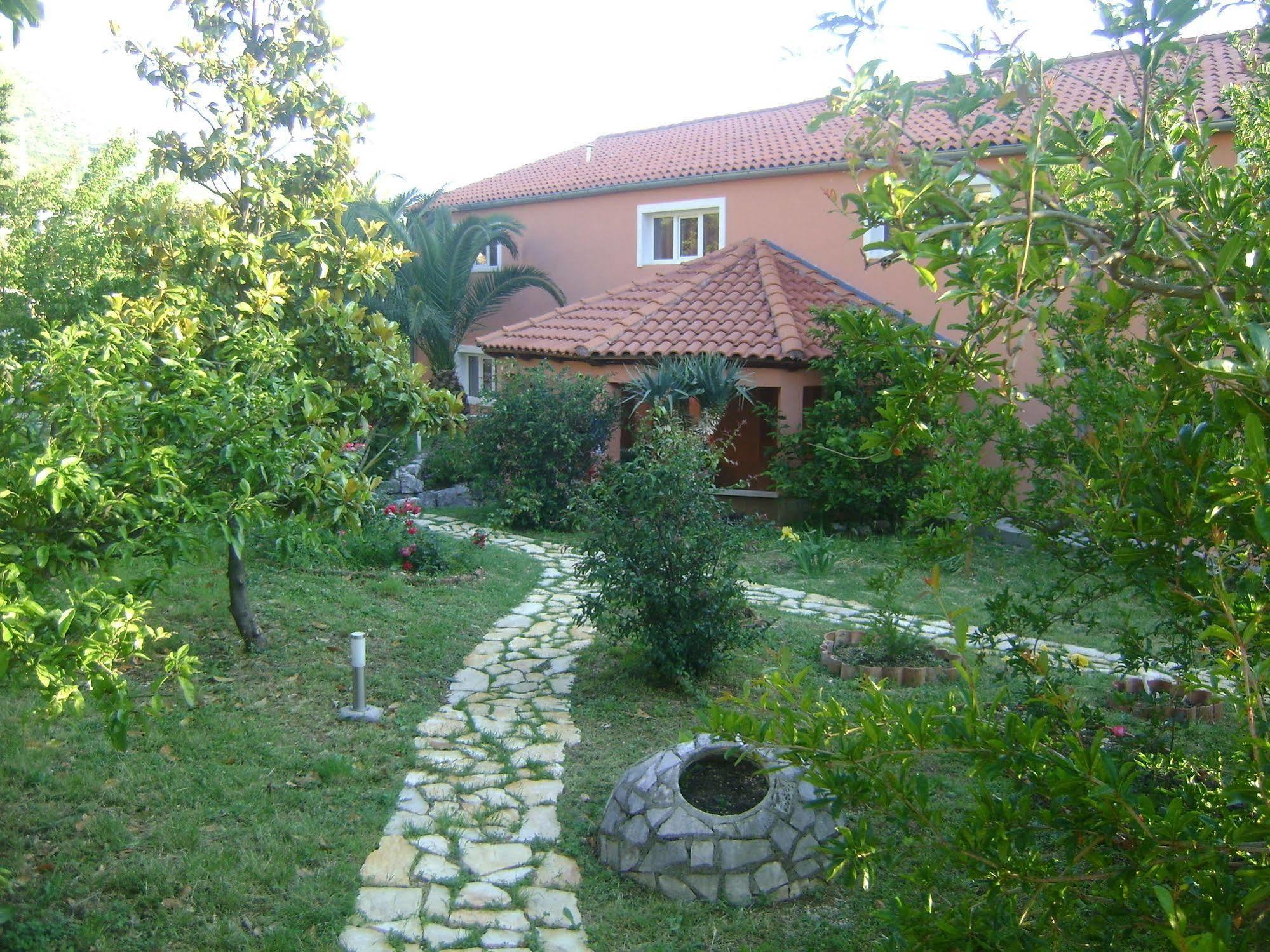 Apartmani Ana Mlini Extérieur photo